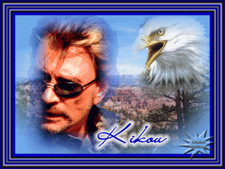 johnny  hallyday